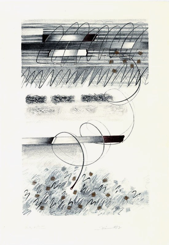 Plate 3 Hand Colored Lithograph by Susana Sori, image copyright 2013  by Susana Sori